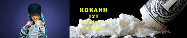apvp Новосибирск