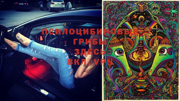 не бодяженный Коряжма